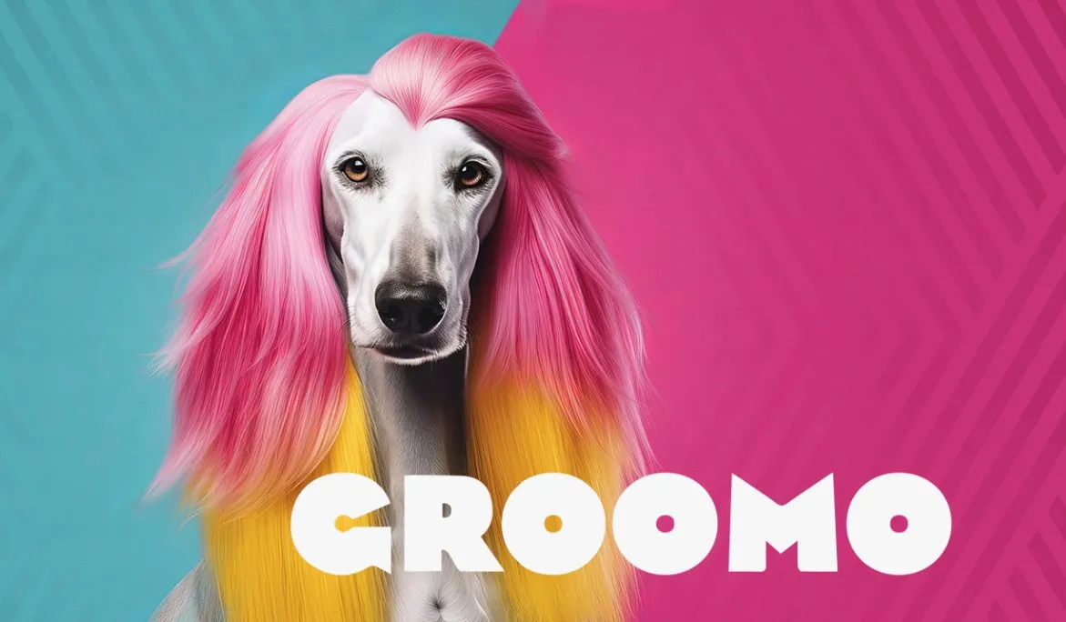 GROOMO e-shop